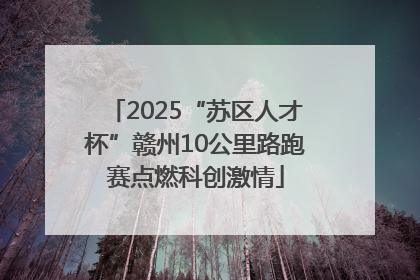 2025“苏区人才杯”赣州10公里路跑赛点燃科创激情