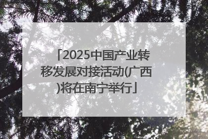 2025中国产业转移发展对接活动(广西)将在南宁举行