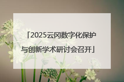 2025云冈数字化保护与创新学术研讨会召开