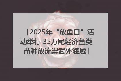 2025年“放鱼日”活动举行 35万尾经济鱼类苗种放流崇武外海域
