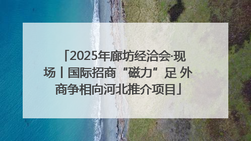2025年廊坊经洽会·现场丨国际招商“磁力”足 外商争相向河北推介项目