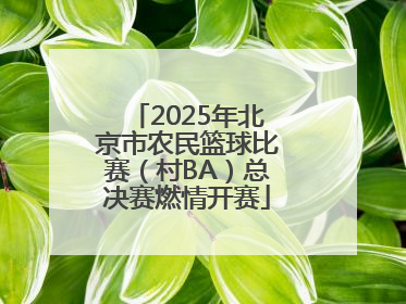 2025年北京市农民篮球比赛（村BA）总决赛燃情开赛