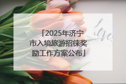 2025年济宁市入境旅游招徕奖励工作方案公布