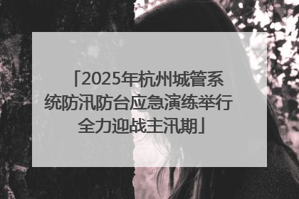 2025年杭州城管系统防汛防台应急演练举行 全力迎战主汛期