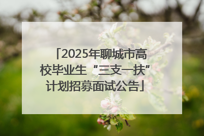 2025年聊城市高校毕业生“三支一扶”计划招募面试公告