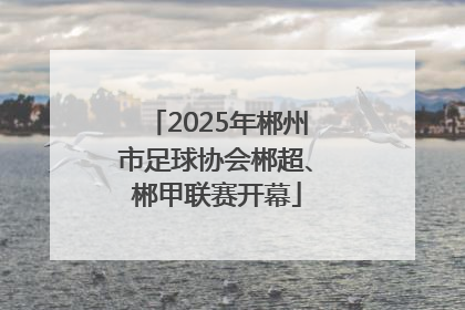 2025年郴州市足球协会郴超、郴甲联赛开幕