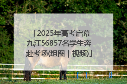 2025年高考启幕 九江56857名学生奔赴考场(组图｜视频)