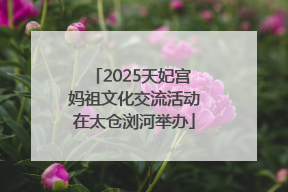 2025天妃宫妈祖文化交流活动在太仓浏河举办