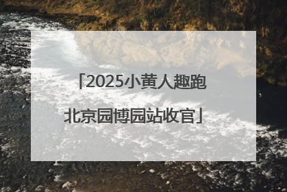 2025小黄人趣跑北京园博园站收官
