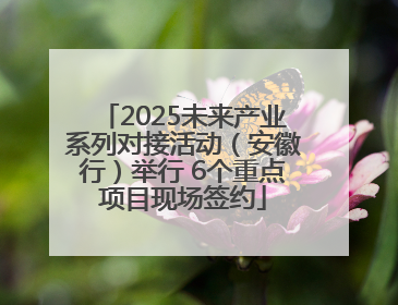 2025未来产业系列对接活动（安徽行）举行 6个重点项目现场签约