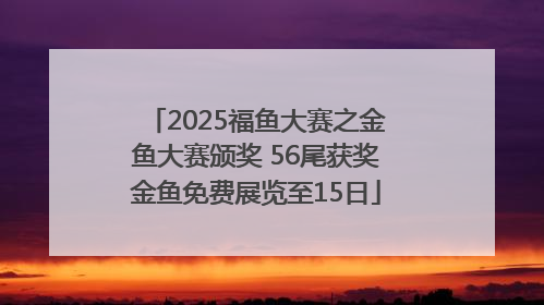 2025福鱼大赛之金鱼大赛颁奖 56尾获奖金鱼免费展览至15日
