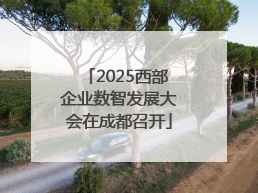 2025西部企业数智发展大会在成都召开