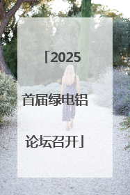 2025首届绿电铝论坛召开