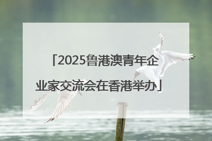 2025鲁港澳青年企业家交流会在香港举办