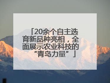 20余个自主选育新品种亮相，全面展示农业科技的“青岛力量”