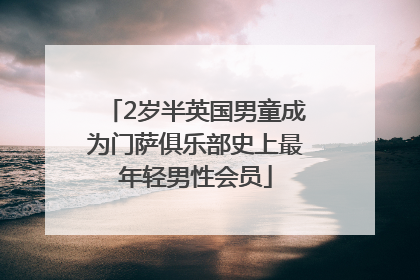 2岁半英国男童成为门萨俱乐部史上最年轻男性会员