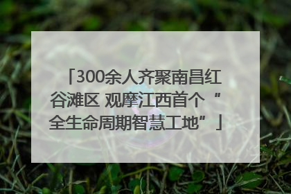 300余人齐聚南昌红谷滩区 观摩江西首个“全生命周期智慧工地”