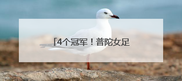 4个冠军！普陀女足体教结合再结硕果
