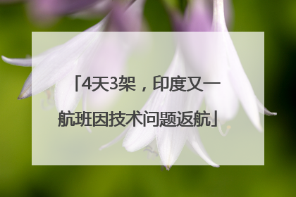 4天3架，印度又一航班因技术问题返航