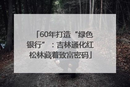 60年打造“绿色银行”：吉林通化红松林藏着致富密码