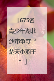 675名青少年湖北沙市争夺“楚天小羽王”