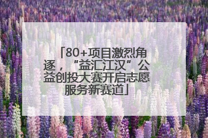 80+项目激烈角逐，“益汇江汉”公益创投大赛开启志愿服务新赛道
