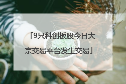 9只科创板股今日大宗交易平台发生交易