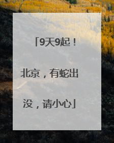 9天9起！北京，有蛇出没，请小心