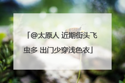 @太原人 近期街头飞虫多 出门少穿浅色衣