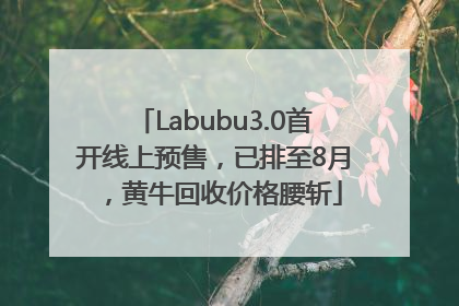 Labubu3.0首开线上预售，已排至8月，黄牛回收价格腰斩