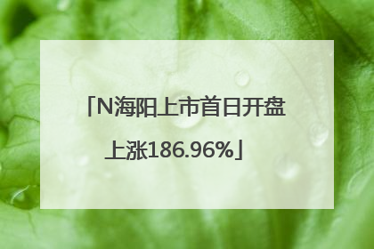 N海阳上市首日开盘上涨186.96%